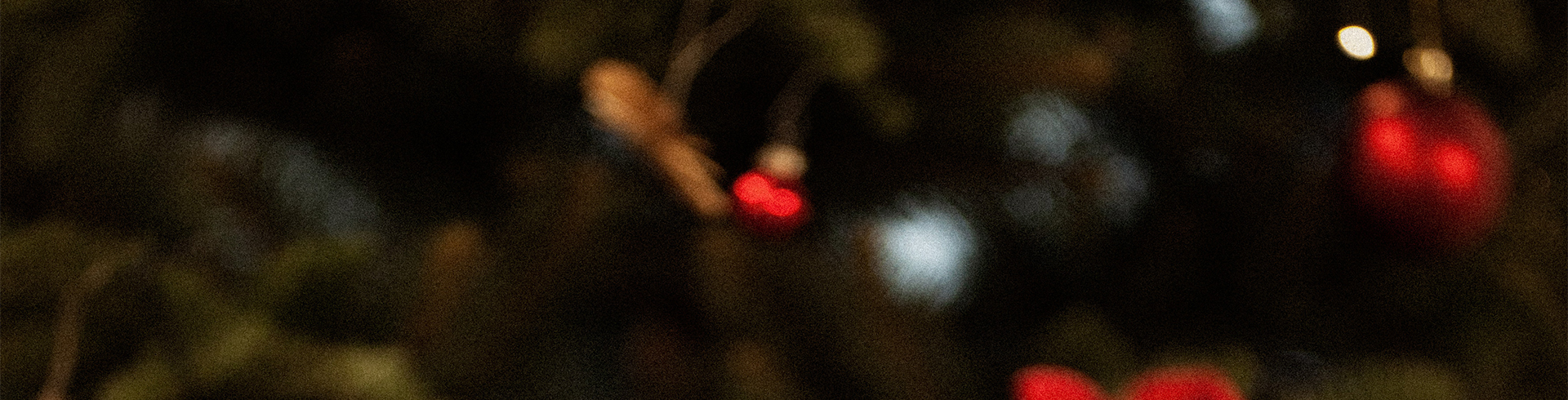 0_banner_kategorie_vanoce-26