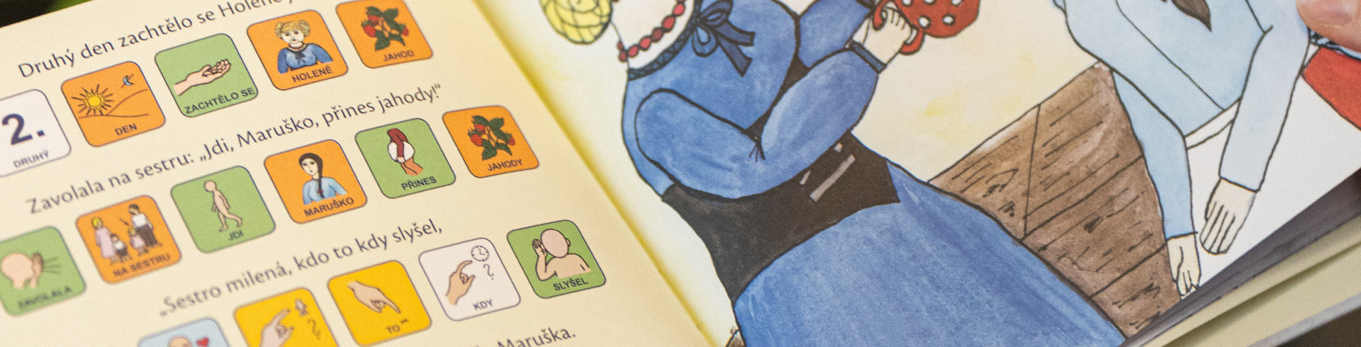 banner_kategorie_vzor-pik