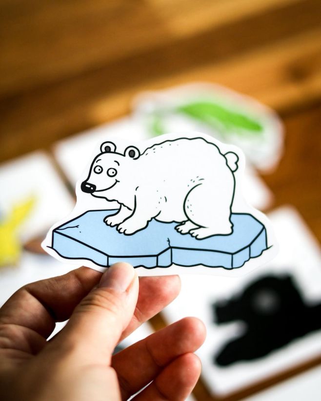 Zima je tu! 🐻‍❄️❄️ A protože se blíží zápisy (letos už od ledna!), je ideální čas začít pomalu trénovat potřebné...