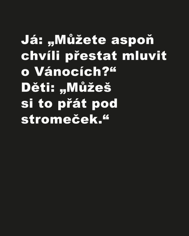 Už to budeme mít za chvíli za sebou! 🎄 Citát z knihy Autismus & Chardonnay 2 👉🏼 @selner84